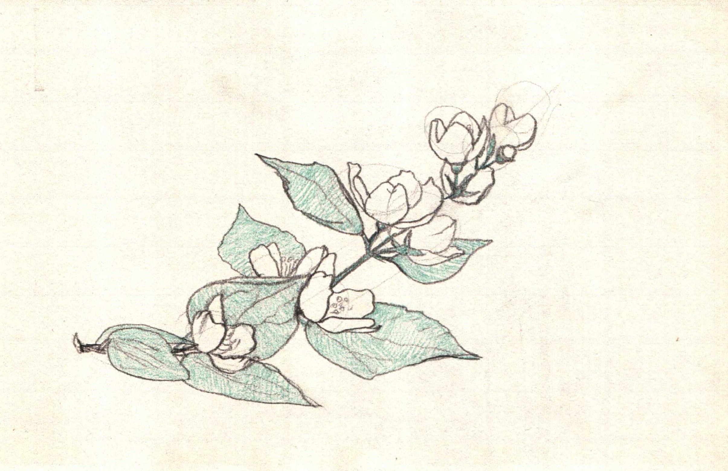 IMAG0058 (11)